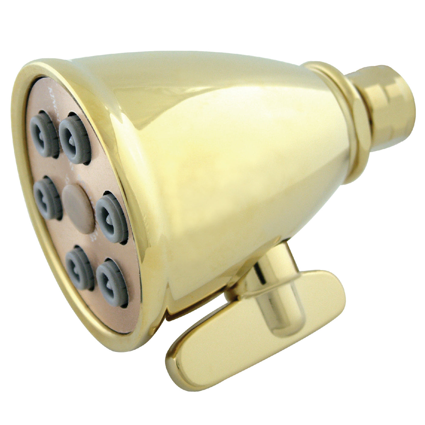 Elements of Design DK1382 Adjustable Jet Spray Shower Head, Polished Brass