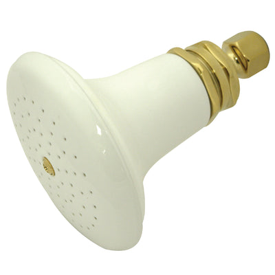 Elements of Design EDP502 Ceramic Shower Head, Polished Brass