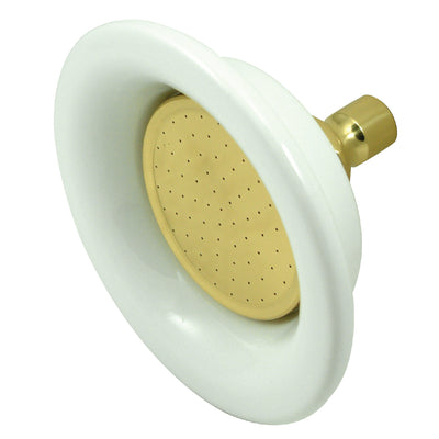 Elements of Design EDP602 Ceramic Shower Head, Polished Brass